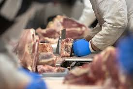 Meat Cutting & Processing